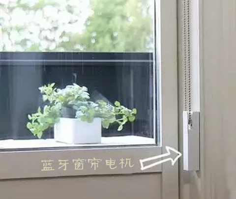 藍牙窗簾電機